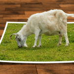 cara compress gambar