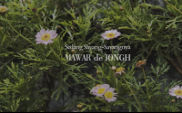 lirik lagu sedang sayang sayangnya