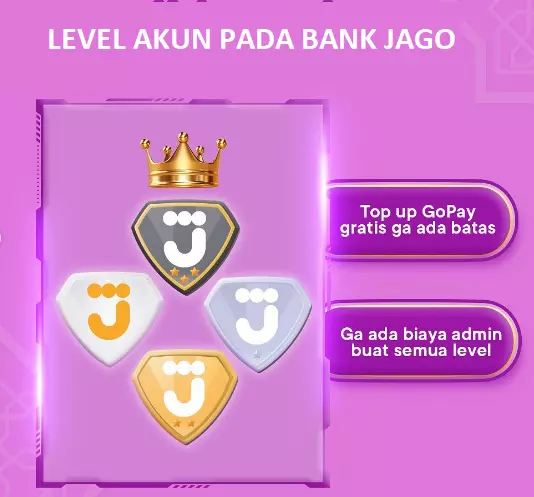 level akun pada bank jago